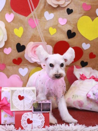 20230211小梅ちゃん